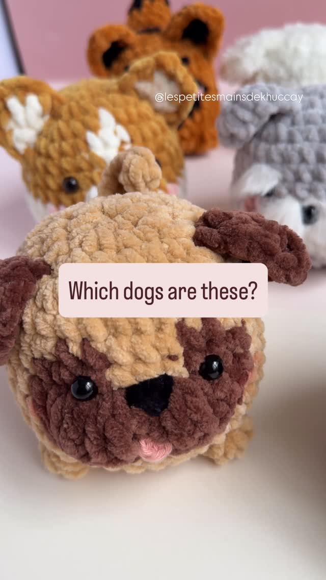 Can you name all these chubby puppies? Tell us in the comments 🐶
-
Pattern is available on www.khuccay.com & Etsy Titesmainsdekhuccay (English/ français)
#khuccay #lespetitesmainsdekhuccay #amigurumi #crochet #crocheting #crochetaddict #yarn #puppy #dog #chunky #amigurumilove