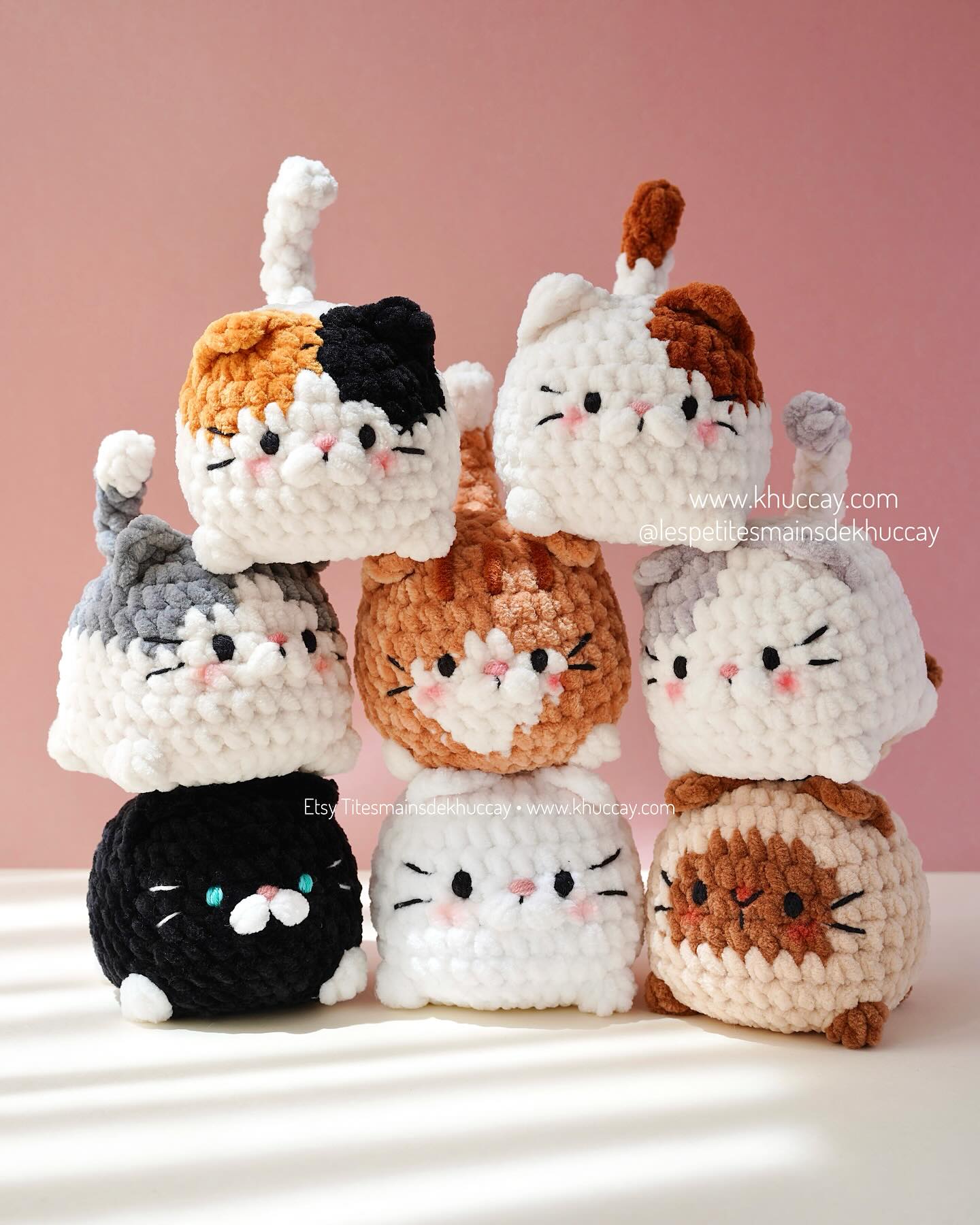 The chubby kitties 💛