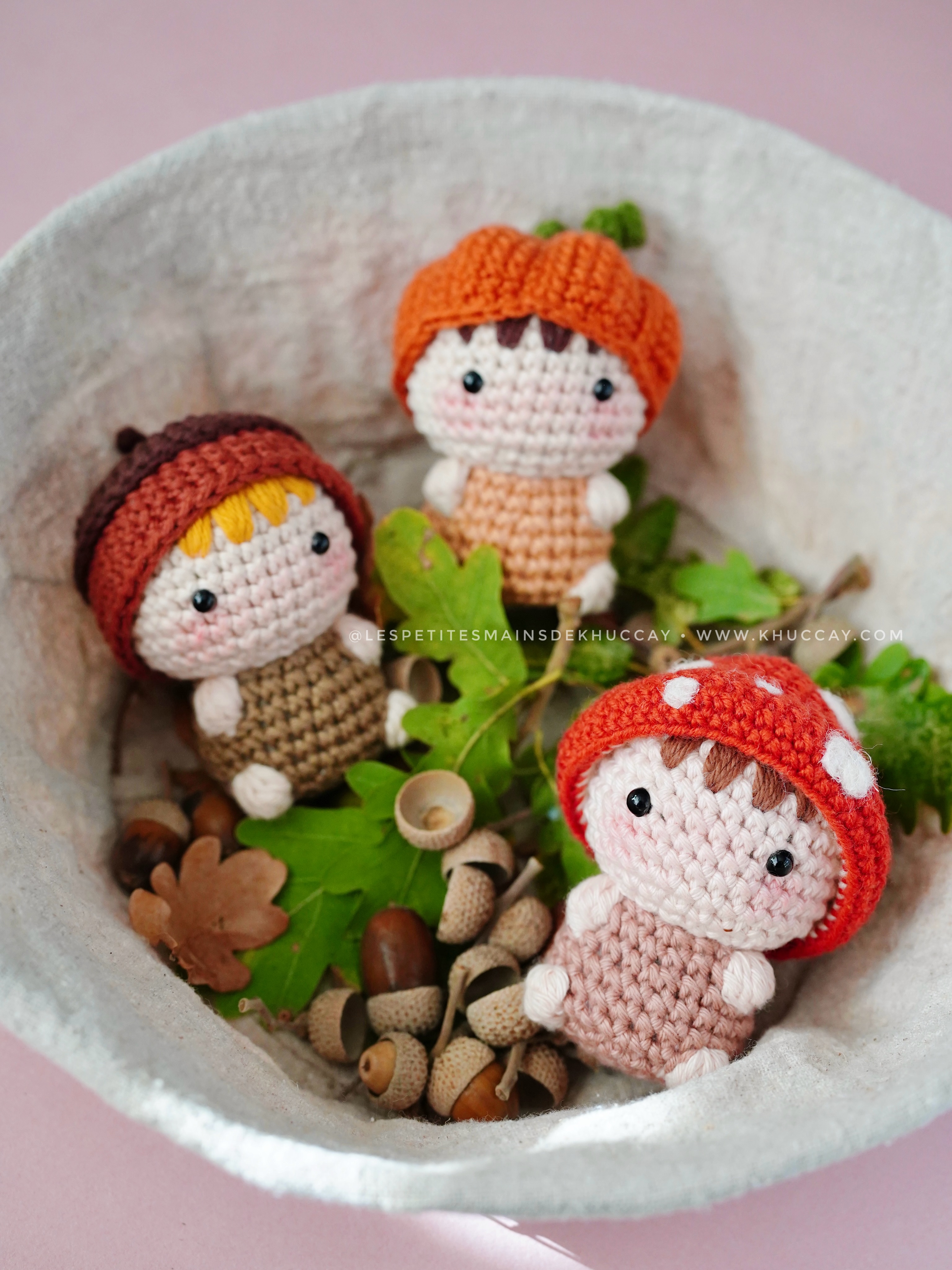 Autumn is coming 🍄