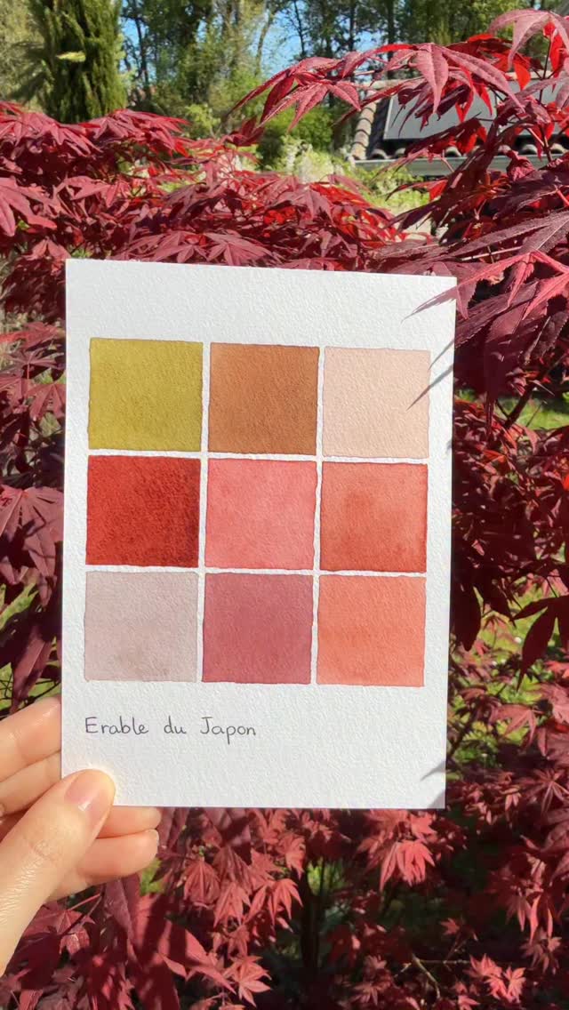 When you lack inspiration for color combinations, just turn to nature 🌿
Which palette do you like the most?
-
Practicing watercolor with @lophochongxiem has been bringing me so much joy lately #hxchallenge 

#khuccay #watercolor #aquarelle #painting