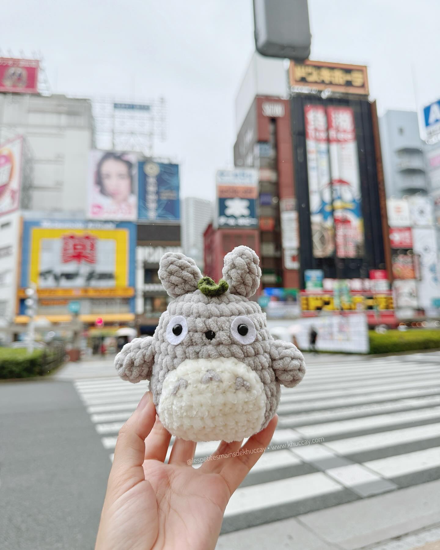 Bonjour from Japan 👀